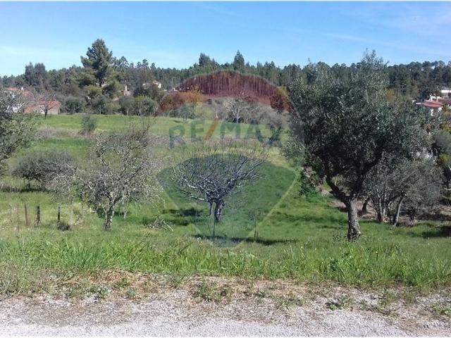 Terreno venda em Castelo Branco, Cumeada