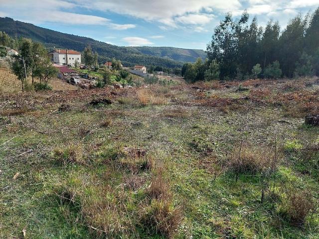 Terreno venda em Castelo Branco, Cumeada