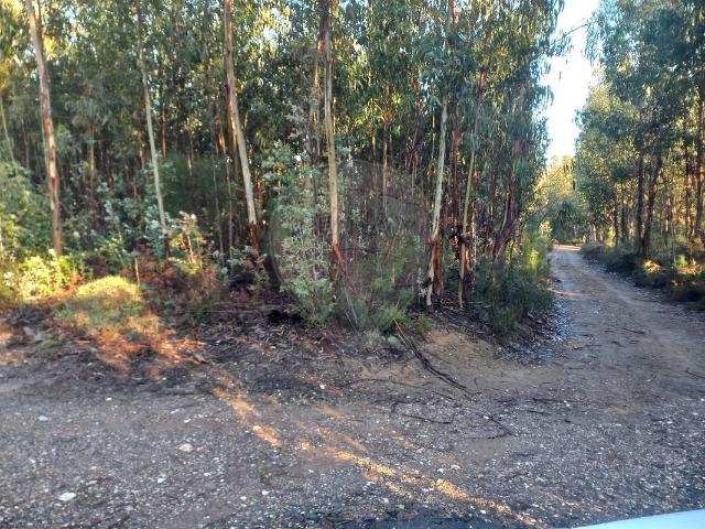 Terreno venda em Castelo Branco, Cumeada