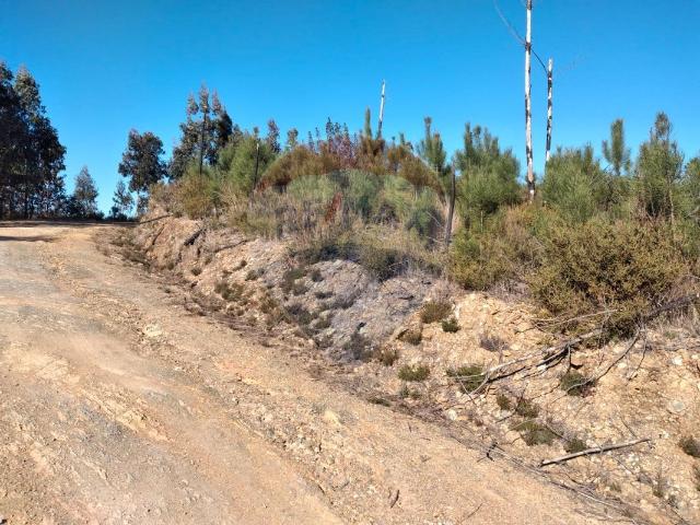 Terreno venda em Castelo Branco, Cumeada