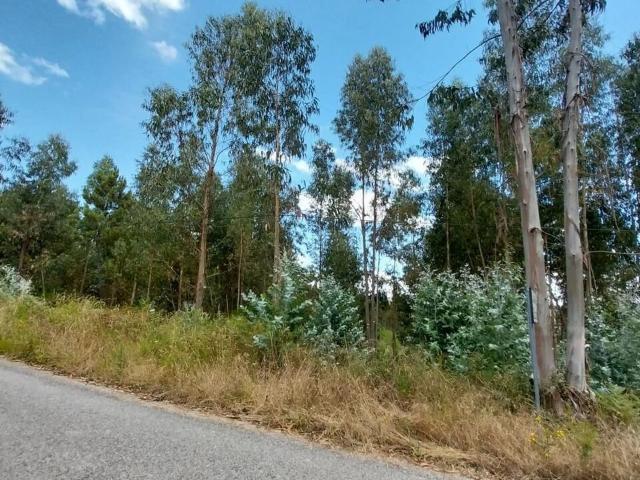 Terreno venda em Castelo Branco, Cumeada