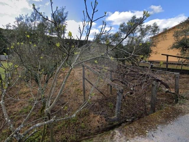 Terreno venda em Castelo Branco, Cumeada