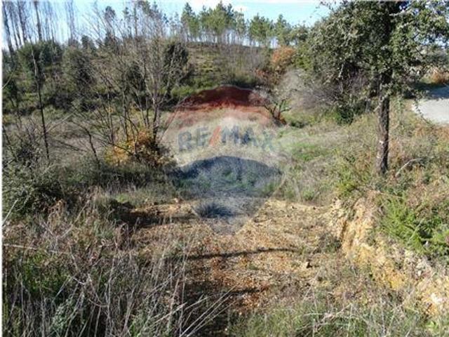 Terreno venda em Castelo Branco, Cumeada