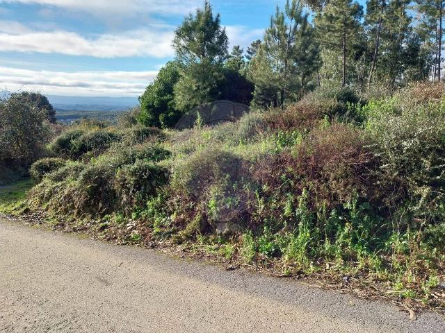 Terreno venda em Castelo Branco, Cumeada