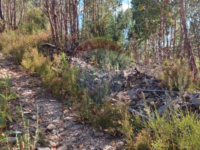Terreno venda em Castelo Branco, Cumeada