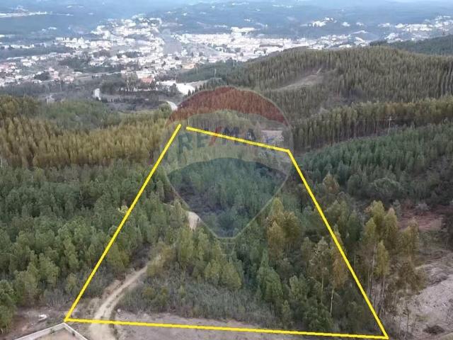 Terreno venda em Castelo Branco, Cumeada