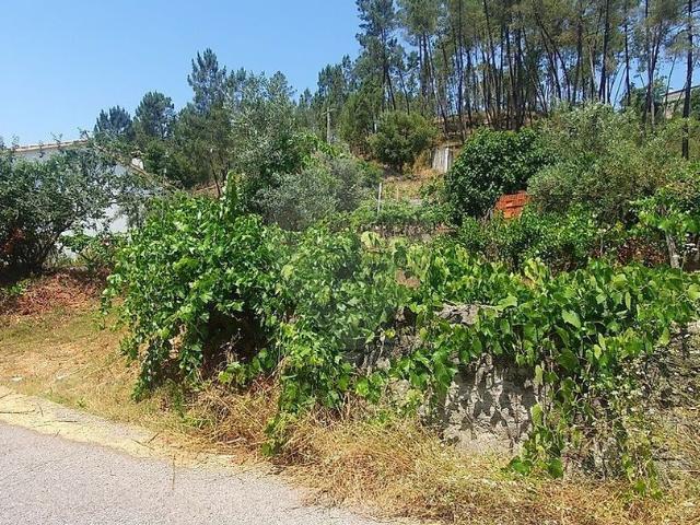 Terreno venda em Castelo Branco, Cumeada