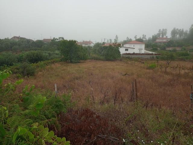 Terreno venda em Castelo Branco, Cumeada