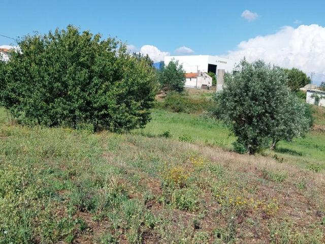 Terreno venda em Castelo Branco, Cumeada
