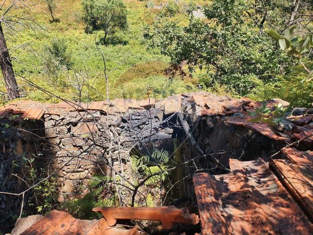 Terreno venda em Castelo Branco, Cumeada