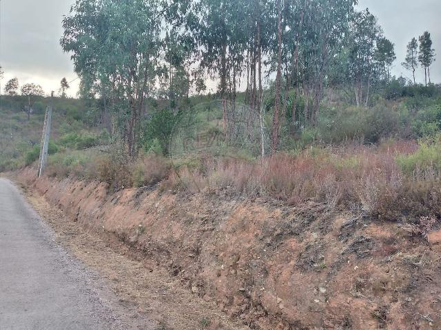 Terreno venda em Castelo Branco, Cumeada