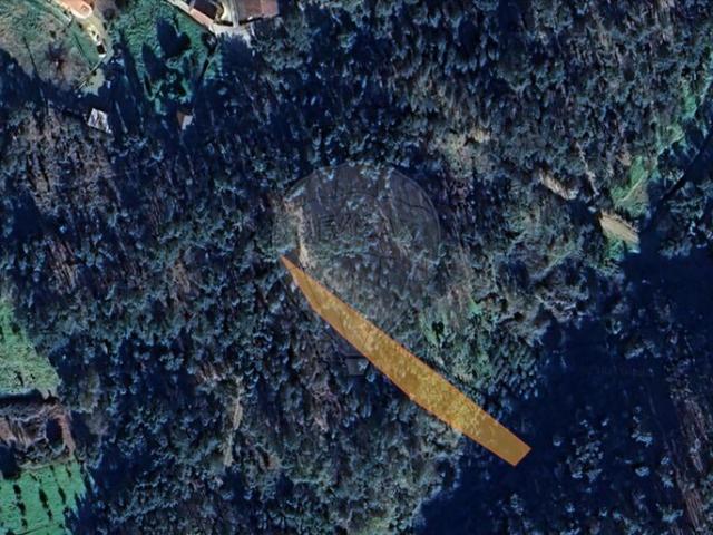 Terreno venda em Castelo Branco, Cumeada