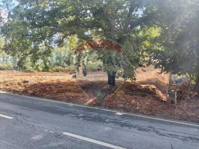 Terreno venda em Castelo Branco, Cumeada