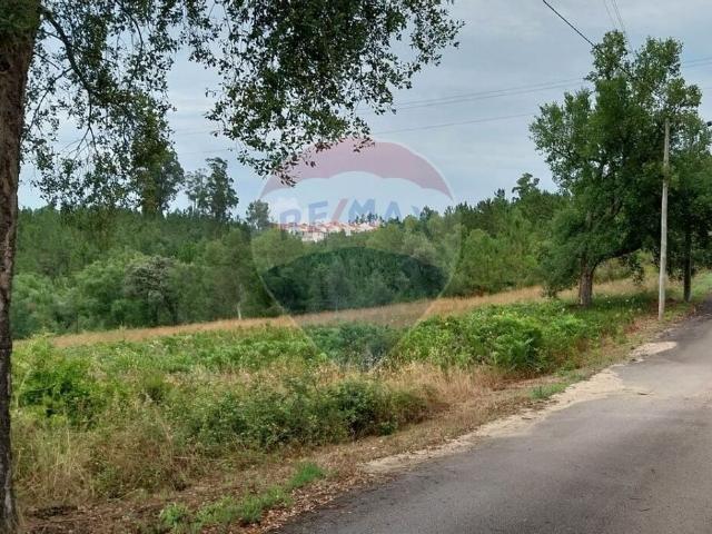 Terreno venda em Castelo Branco, Cumeada