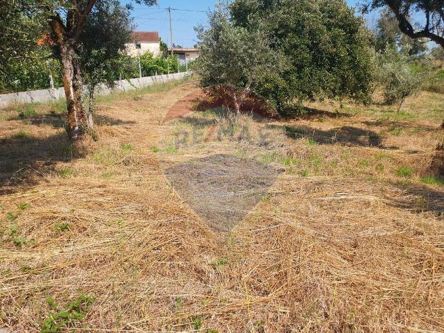 Terreno venda em Castelo Branco, Cumeada