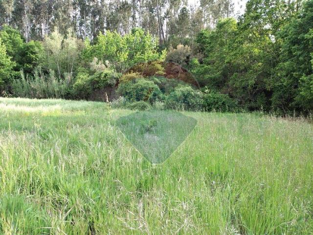 Terreno venda em Castelo Branco, Cumeada