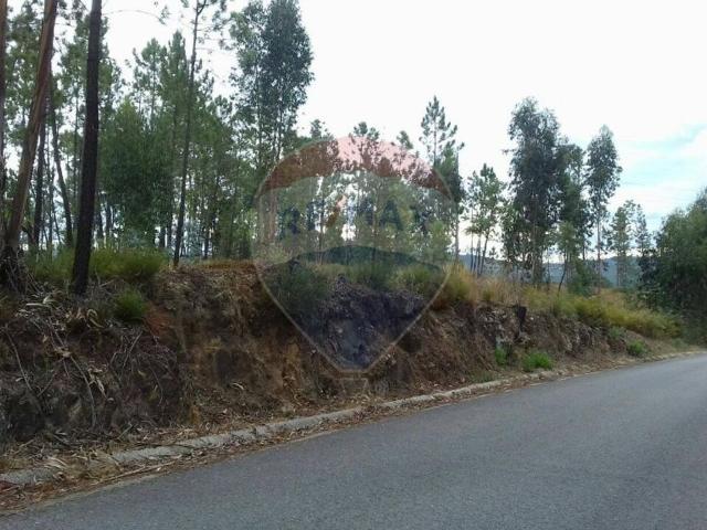 Terreno venda em Castelo Branco, Cumeada