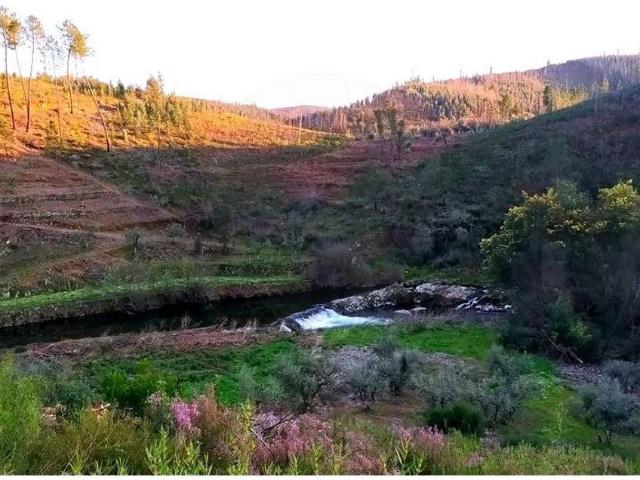 Terreno venda em Castelo Branco, Cumeada