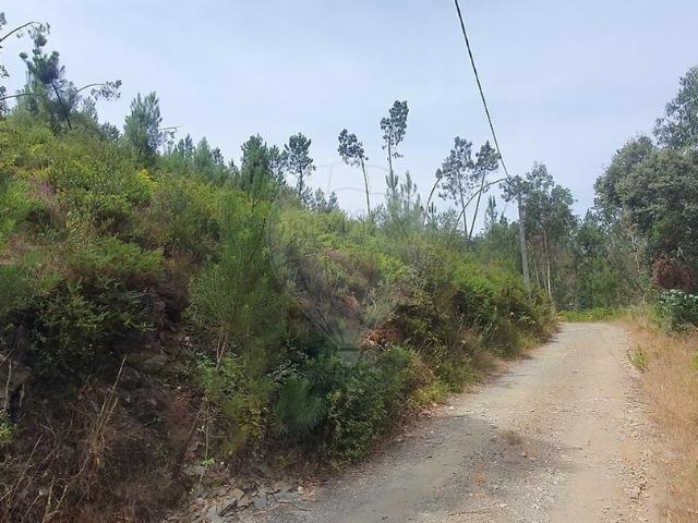 Terreno venda em Sertã