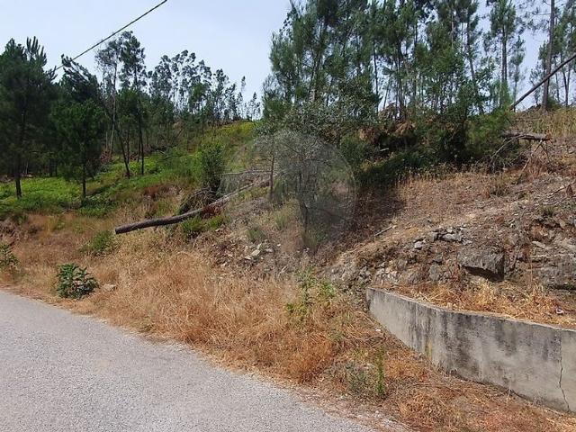 Terreno venda em Sertã