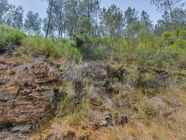 Terreno venda em Sertã