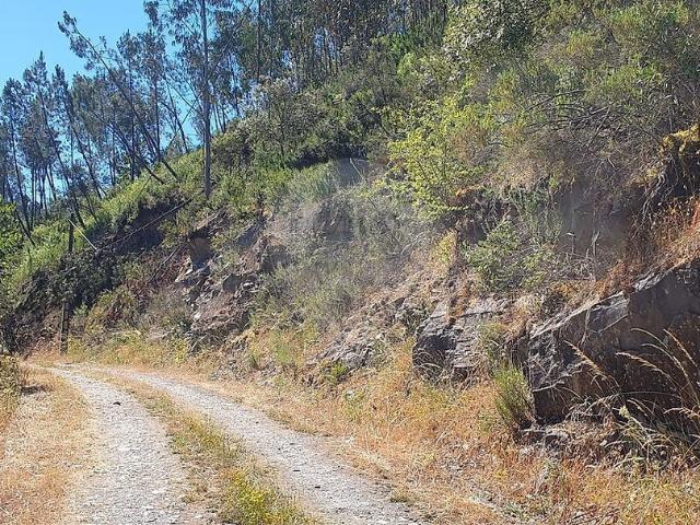 Terreno venda em Sertã