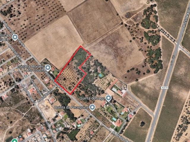 Terreno venda em Azeitão (São Lourenço e São Simão), Setúbal