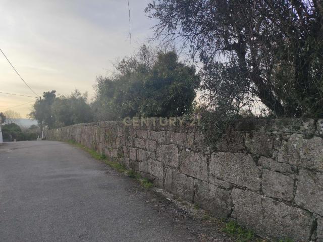 Terreno venda em Viseu