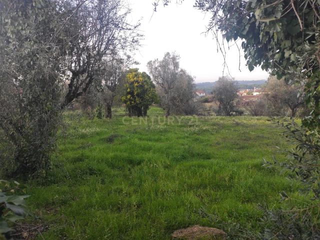 Terreno venda em Viseu