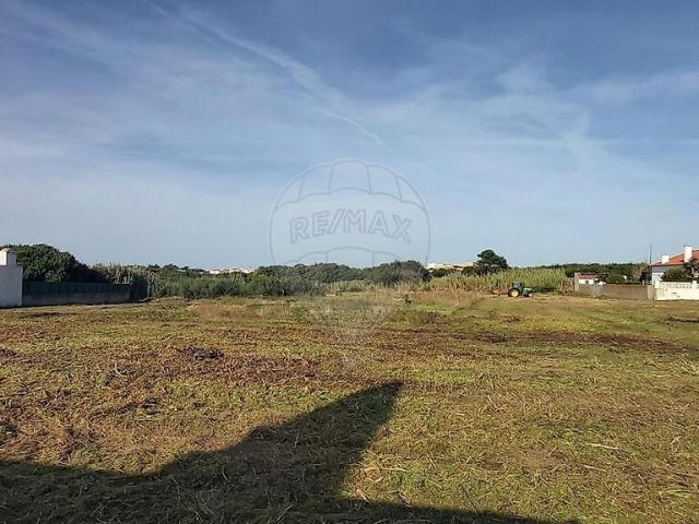 Terreno venda em Silveira, Torres Vedras