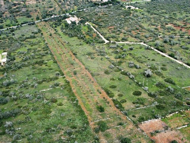 Terreno venda em Silves, Faro