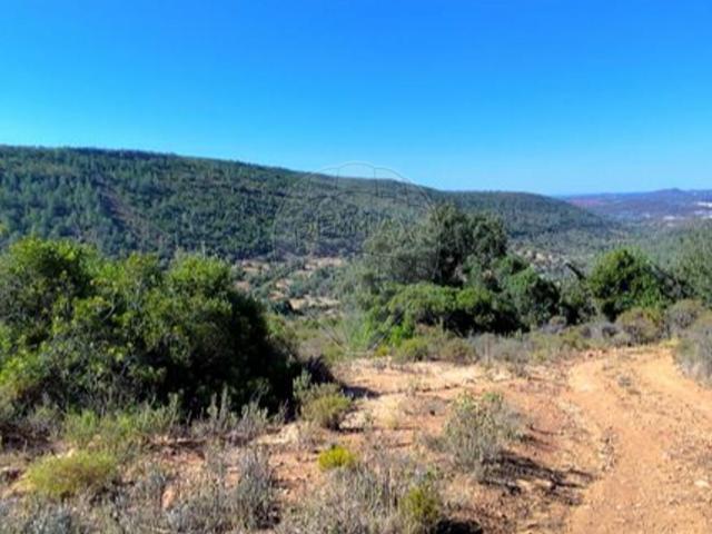 Terreno venda em Loulé, Faro