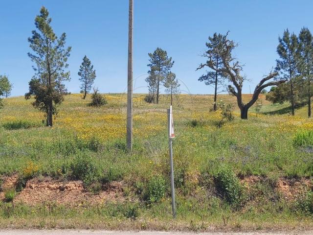 Terreno venda em São Bartolomeu De Messines, Faro