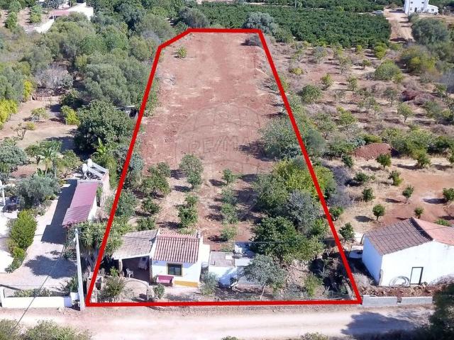 Terreno venda em Silves, Faro