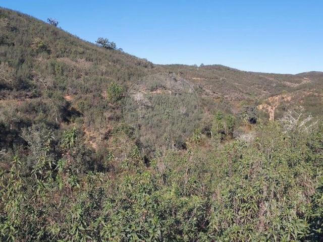 Terreno venda em São Bartolomeu De Messines, Faro