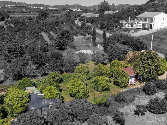 Terreno venda em Franqueira, Silves