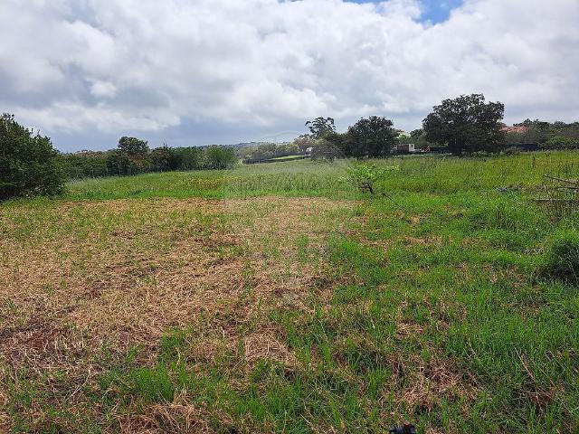 Terreno venda em Boliqueime, Loulé