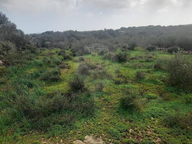 Terreno venda em Cerro de São Miguel, Silves