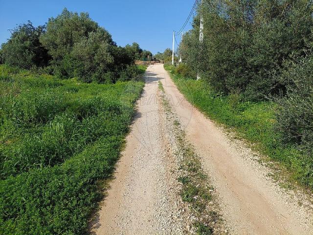 Terreno venda em Poço Barreto, Silves