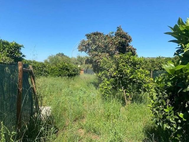 Terreno venda em Defesa, Silves