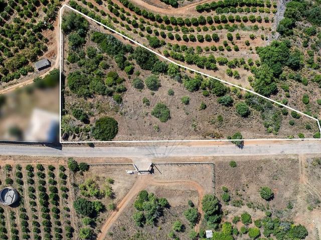 Terreno venda em Silves, Faro