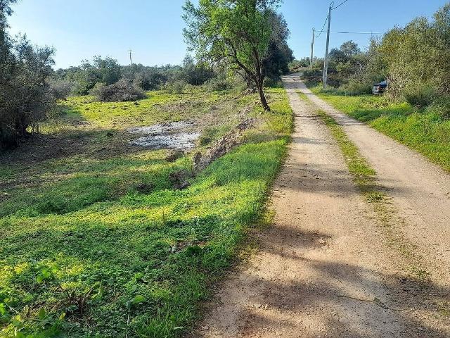 Terreno venda em Poço Barreto, Silves