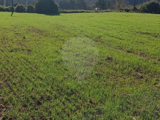 Terreno venda em Ribeira de Sintra, Sintra