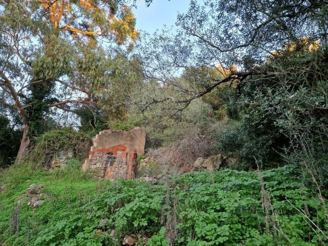 Terreno venda em Barrunchal, Sintra