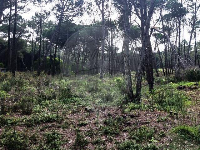 Terreno venda em Sintra, Lisboa