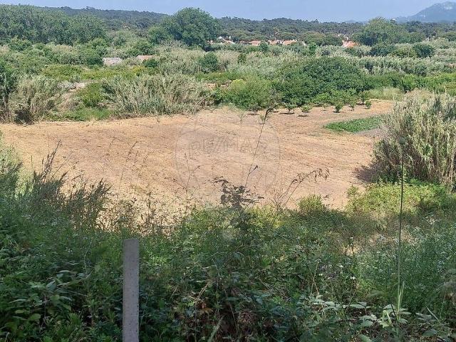 Terreno venda em Casal de Santo André, Sintra