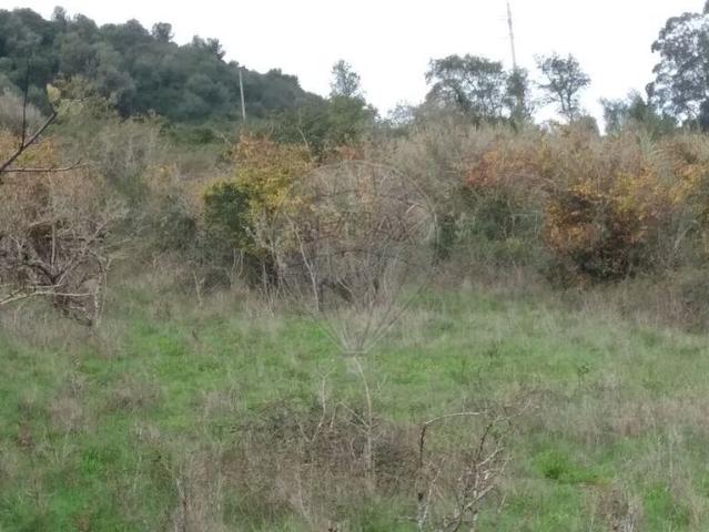 Terreno venda em Armés, Sintra