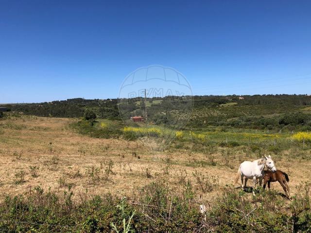 Terreno venda em Cabriz, Sintra