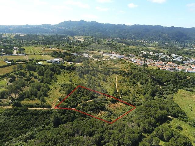 Terreno venda em Nafarros, Sintra (Santa Maria e São Miguel, São Martinho e São Pedro de Penaferrim)