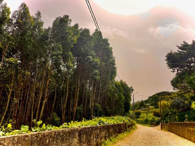 Terreno venda em Sintra, Sintra (Santa Maria e São Miguel, São Martinho e São Pedro de Penaferrim)
